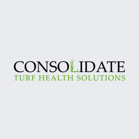 Consolidate